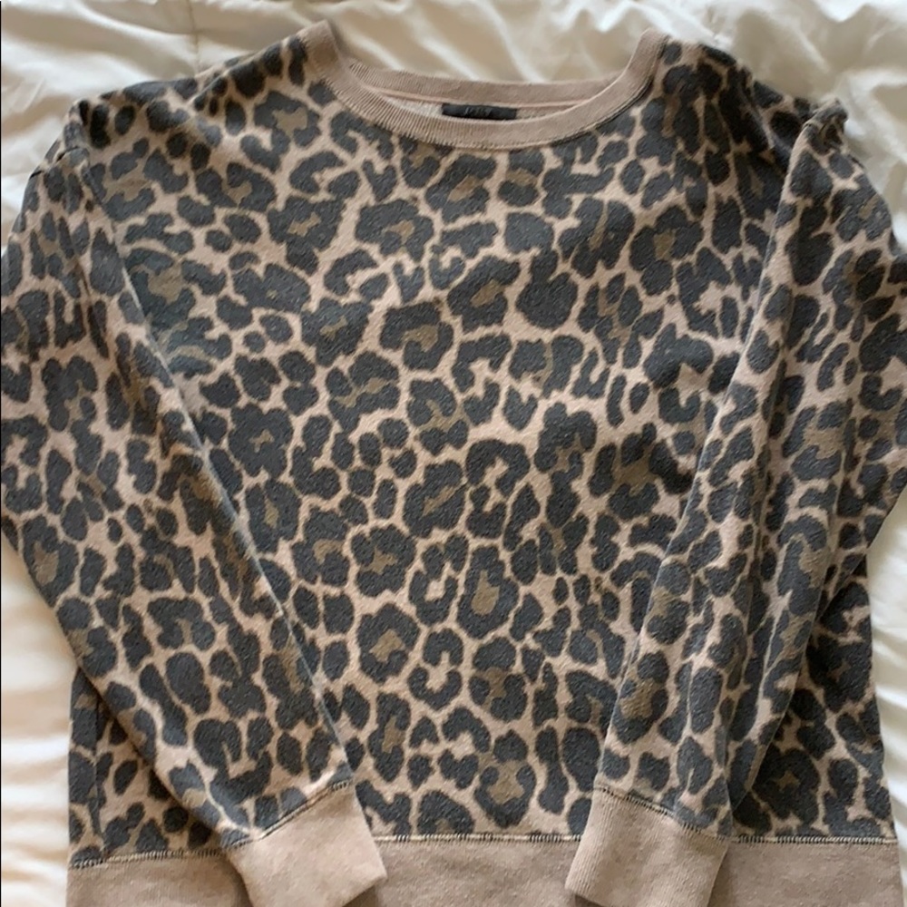 JCrew Crewneck Sweatshirt